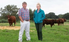 Bright future ahead for Yarn Hill Lincoln Red herd