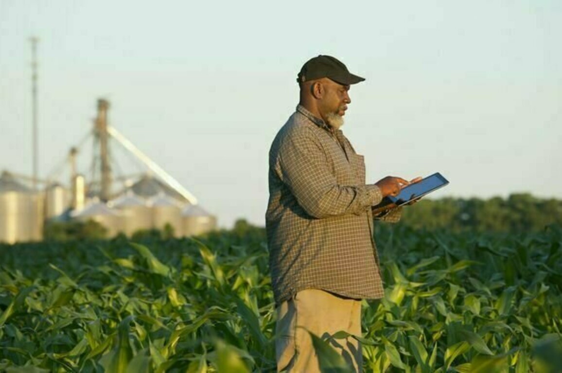 South Africa as G20 leader can take action on Africa's food supply: 4 ways to make a difference