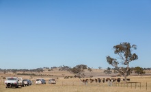  A new Q Fever research collaboration has been announced.