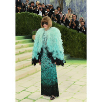 Anna Wintour arrives at Met Gala in feathered look