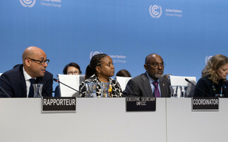 Green groups lament 'painfully slow' progress at UN climate talks in Bonn