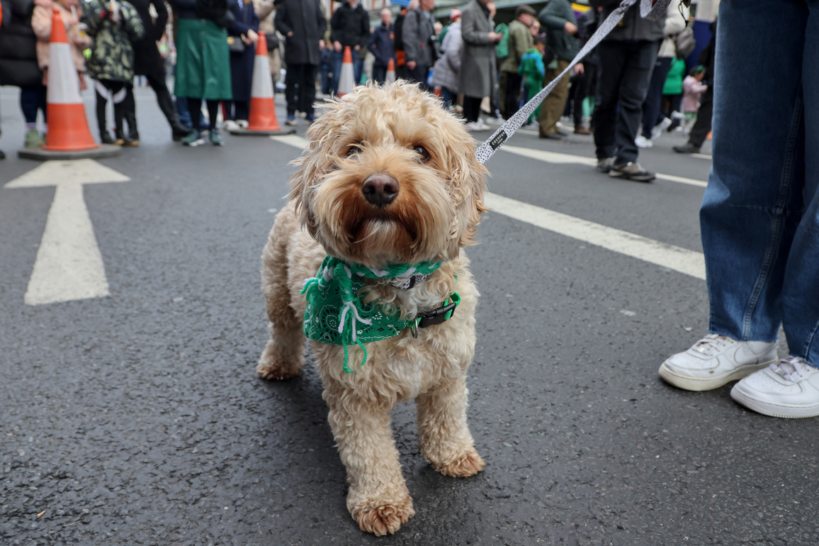 BRITAIN-LONDON-ST. PATRICK'S DAY-PARADE