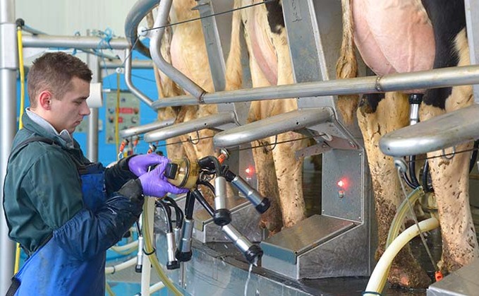 Dairy farmers should check EU workers have applied for settled status