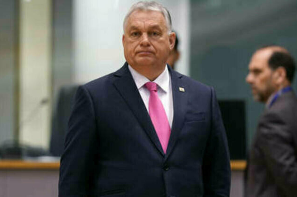 EU finds way to bypass Hungary - Politico