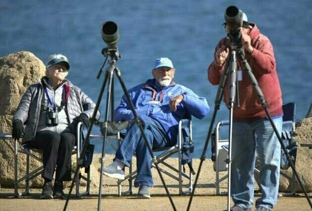 Birders flock to Morro Bay for annual festival