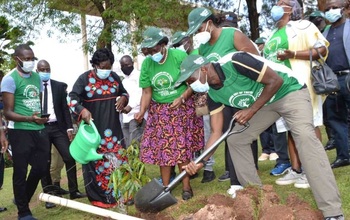 Sipiika agugumbudde baminisita  b'agamba nti basusse okusaanyawo ebibira