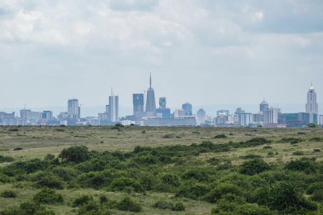 (Hello Africa) Symphony of coexistence: Nairobi National Park charts a path for urban wildlife harmony