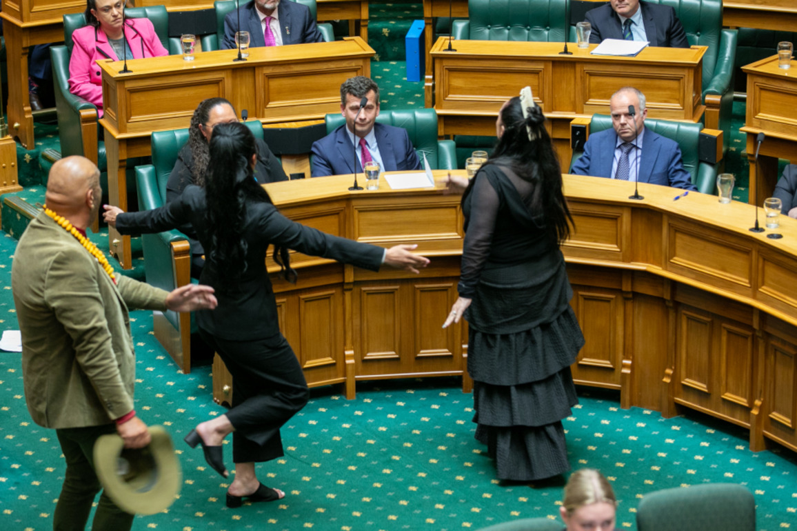 Te Pti Mori's haka punishment labelled extreme, but Labour unlikely to filibuster