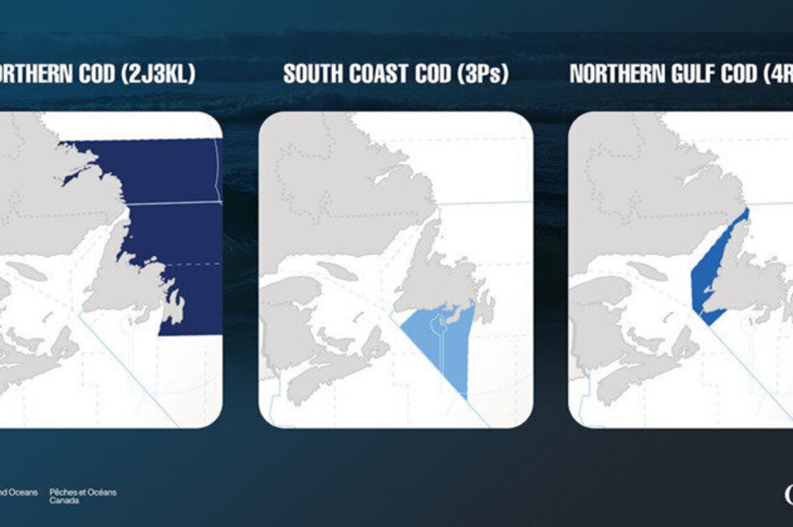 Fisheries and Oceans Canada Releases Management Approach for the Food Fishery in Newfoundland and Labrador