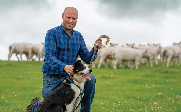 Sheep special: Quality Texel rams mainstay of Northumberland flock