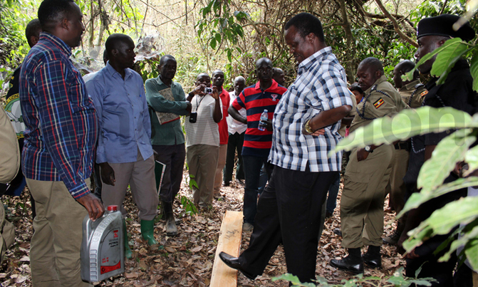 Police officers implicated in timber smuggling ring Police officers implicated in timber smuggling ring