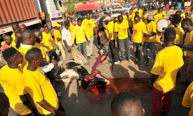 NRM Supporters celebrate election petition victory NRM Supporters celebrate election petition victory