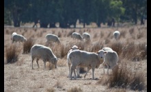  Organic farming does not stack up when it comes to feeding the world, says Episode 3.