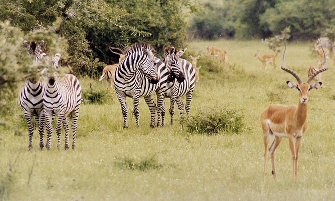 Industry threatens nearly half of natural heritage sites: WWF Industry threatens nearly half of natural heritage sites: WWF