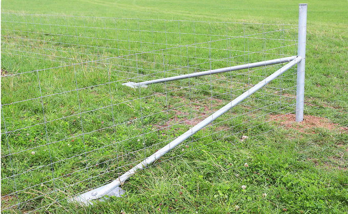 Partner Insight: The hidden cost of timber fencing — and why more farmers are switching to steel