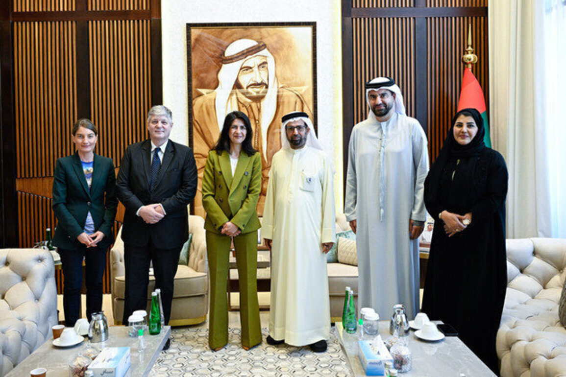 FNC discusses regional, international developments with Minister of State of Germany