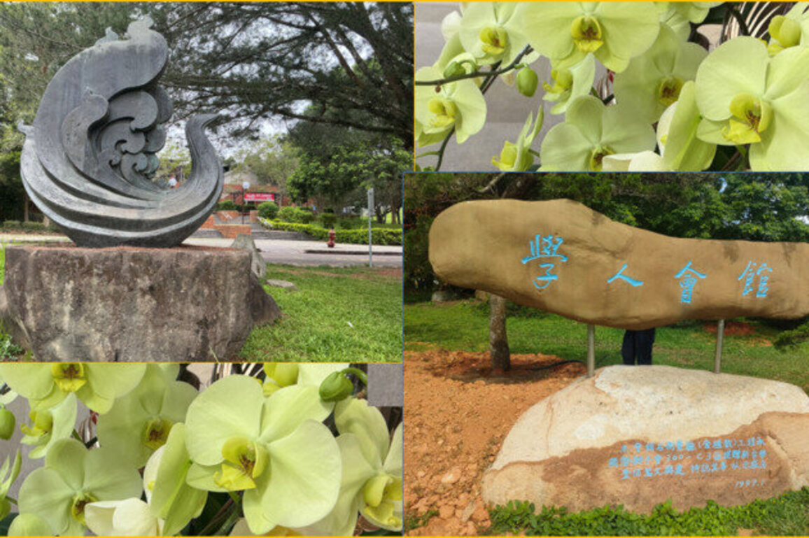 WHERE THE STONES SPEAK, THE FLOWERS DELIGHT AND THE TREES PROTECT