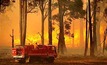 10,000 livestock lost in NSW fires