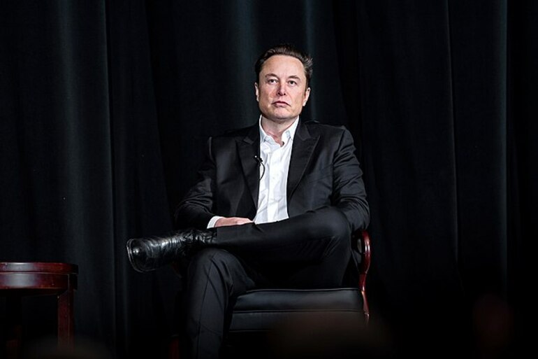 U.S. Treasury Secretary says Musk should steer clear of politics