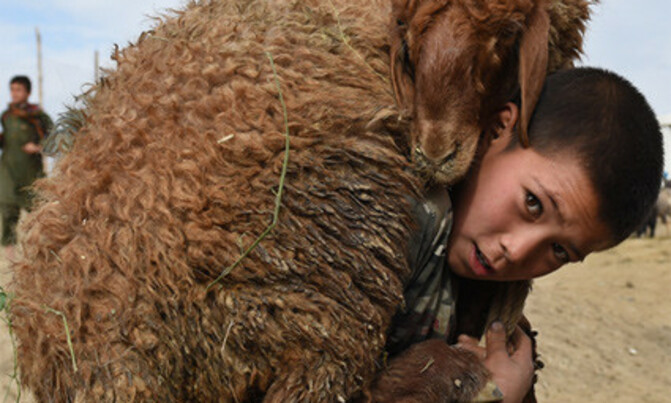IN PICTURES: Muslims gear up for Eid al-Adha IN PICTURES: Muslims gear up for Eid al-Adha