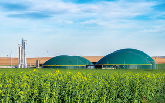 Green gas: What is it good for?
