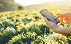 Climate tech investment is set to double, but are too many start-ups missing out?