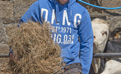 In your field: Alan Carter – "You can plan as much as you want, but the weather has the biggest effect on the farming year"