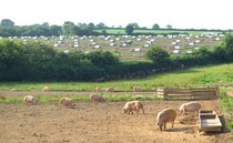 Vigilance urged as anti-farming activists expected on farm