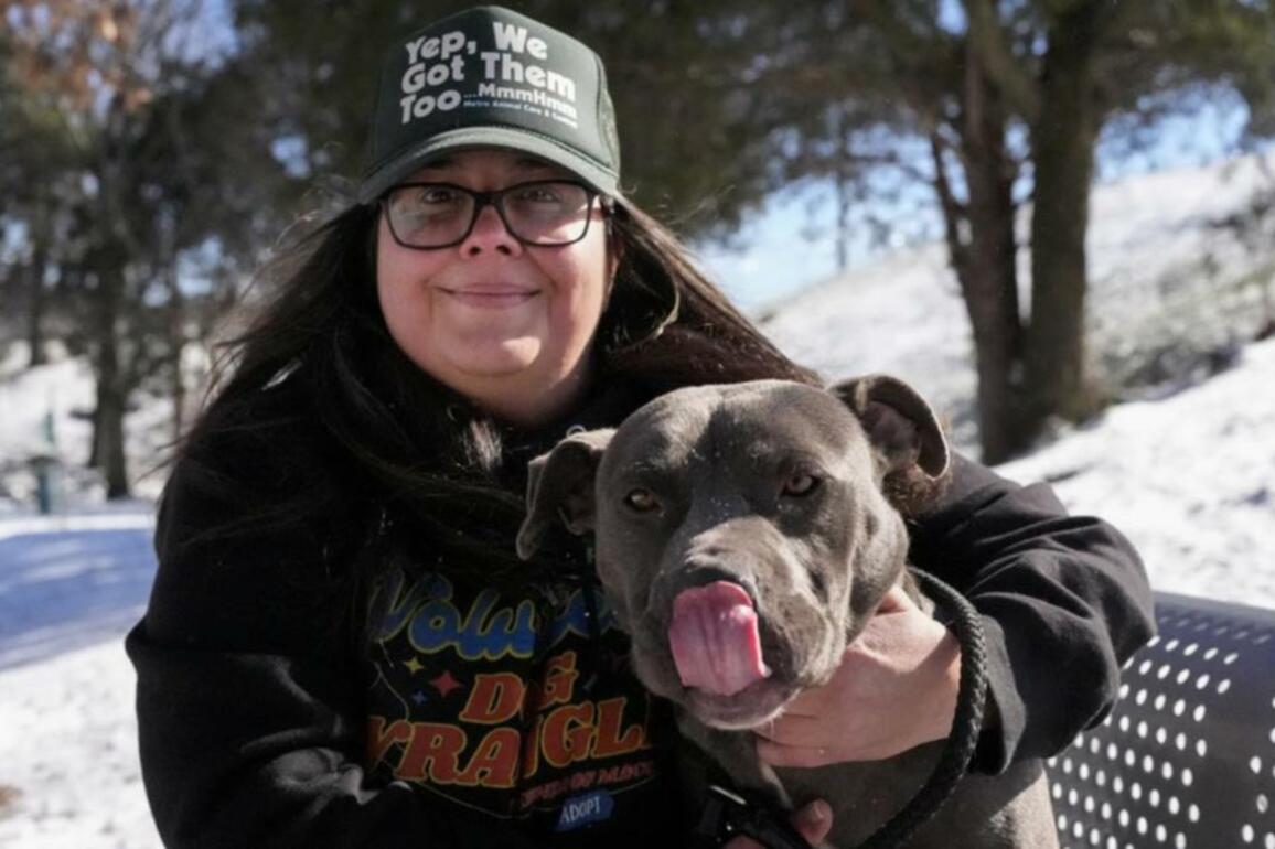 'Himalayan fur goblin' viral videos boost dog adoption