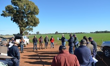  The Riverine Plains Inc group has just completed a long-term research project looking at stubble and frost management in cropping systems. Picture Mark Saunders.