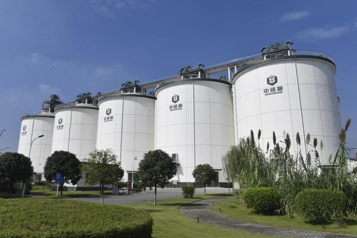 China's grain checks into five-star "climate rooms" as 40 green silos rise
