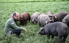 Chef turned farmer champions sustainability in the supply chain