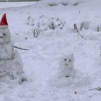 Tourists rejoice as Dalhousie receives first snowfall of the year