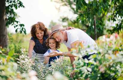 Business Relief demystified: a simple way to reduce IHT