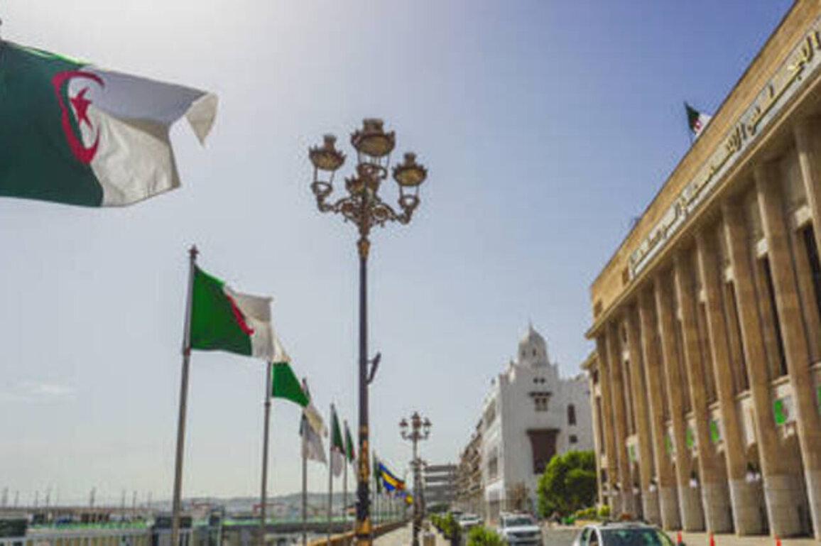 Algeria to criminalize French colonial rule