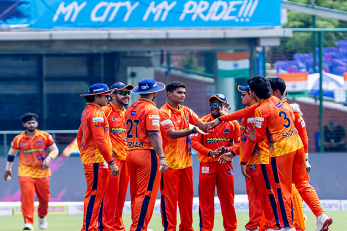 West Delhi Lions beat New Delhi Tigers in rain-hit match of DPL Season 2