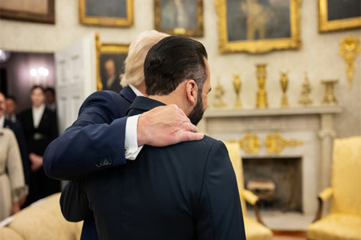Mistakenly deported El Salvador citizen will not be sent back to US, says President Bukele