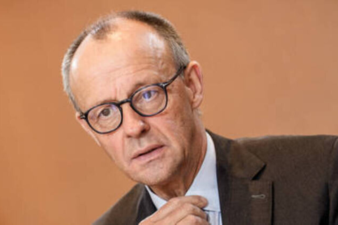 Merz has filed 5,000 complaints against online critics - media