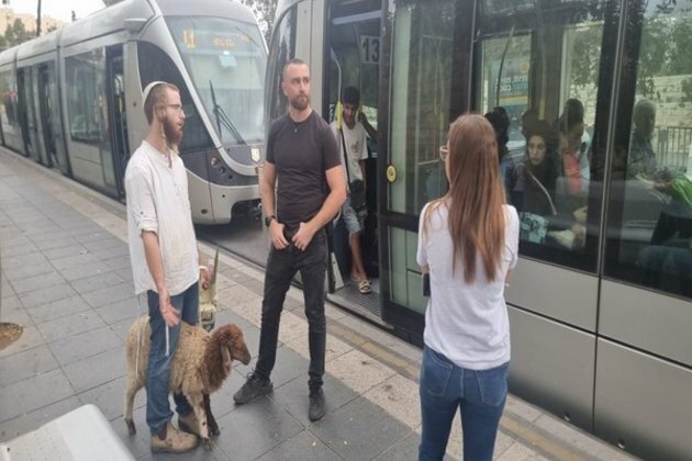 Israeli man seeking to sacrifice goat on Temple Mount arrested