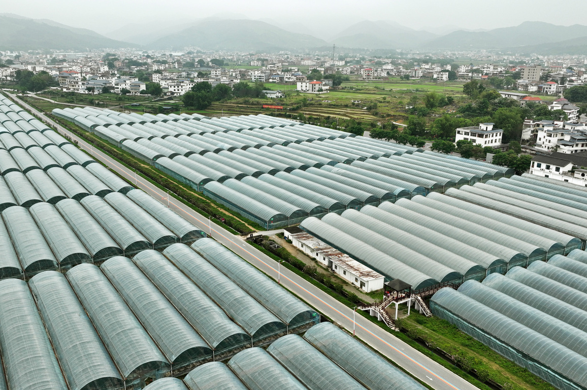 CHINA-JIANGXI-YUDU COUNTY-DEVELOPMENT (CN)