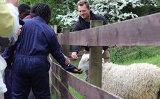 Therapy farm set up in response to city knife crime