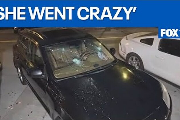 Handcuffed woman steals LAPD cruiser near Magic Castle