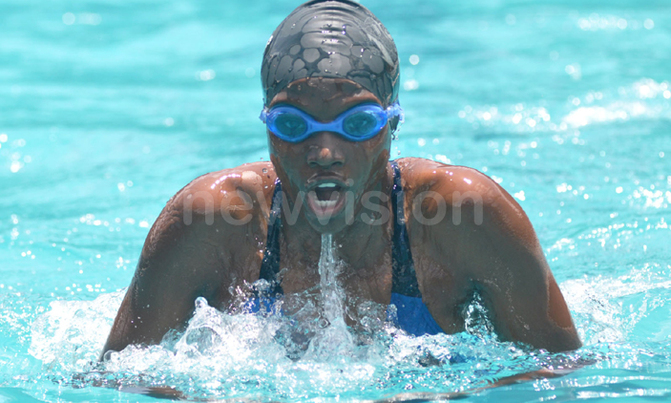 Dolphins impress at swimming gala Dolphins impress at swimming gala