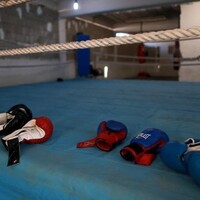 U19 Asian Boxing Championships: Five Indian boxers assured of medal after commanding quarter-final victories