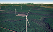  Forest Wind Farm vital for jobs: minister 