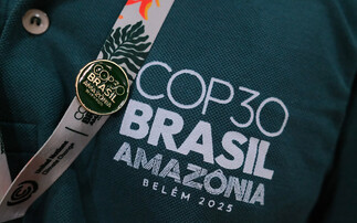 'Way short of what is needed': The green economy reacts to COP30 agreement