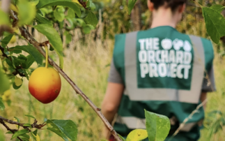 Iceland Foods partners with The Orchard Project