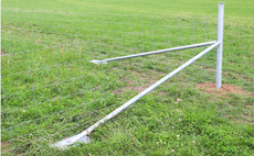 Partner Insight: The hidden cost of timber fencing — and why more farmers are switching to steel