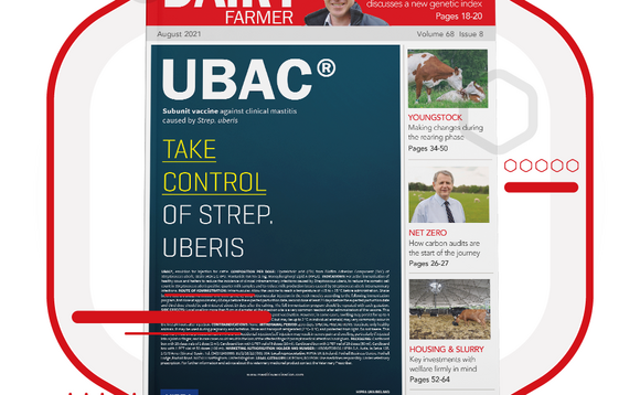 Dairy Farmer Digital Magazine 