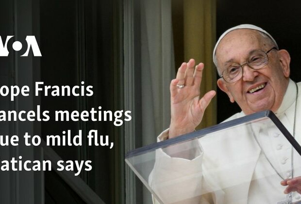 Pope Francis cancels meetings due to mild flu, Vatican says